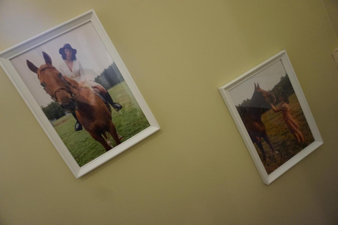 Vila Osada Cztery Pory Roku -Dom Lato Kopalino Exteriér fotografie