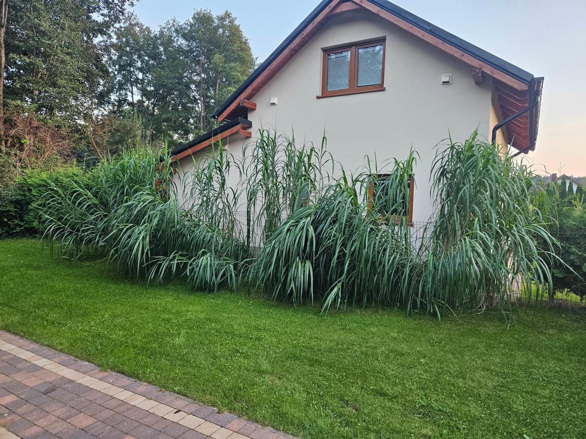 Vila Osada Cztery Pory Roku -Dom Lato Kopalino Exteriér fotografie